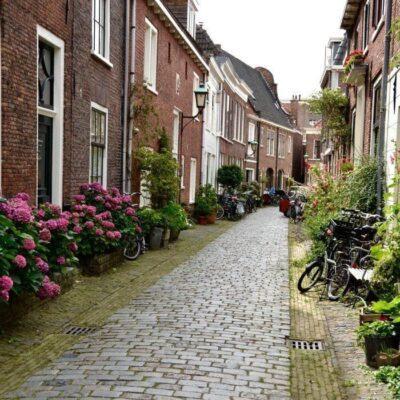 haarlem-hidden-gems-things-to-do-walking-tour-history-friends-couples-groups-activities