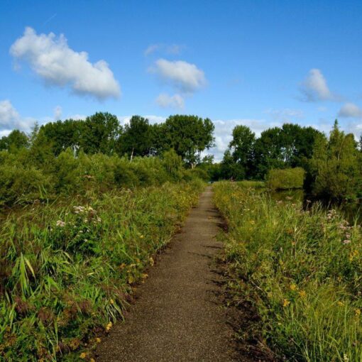 amsterdam-forest-hidden-gems-things-to-do-walking-tour-history-friends-couples-groups-activities