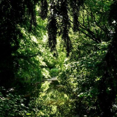 amsterdam-forest-hidden-gems-things-to-do-walking-tour-history-friends-couples-groups-activities