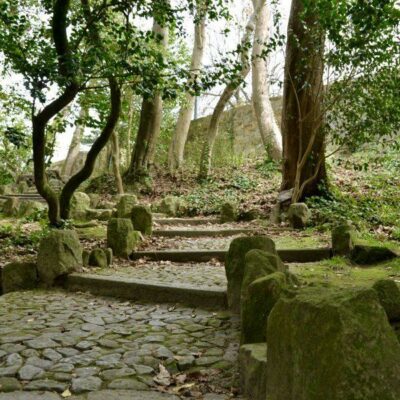 porto-portugal-hidden-gems-things-to-do-walking-tour-history-friends-couples-groups-activities