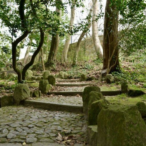 porto-portugal-hidden-gems-things-to-do-walking-tour-history-friends-couples-groups-activities