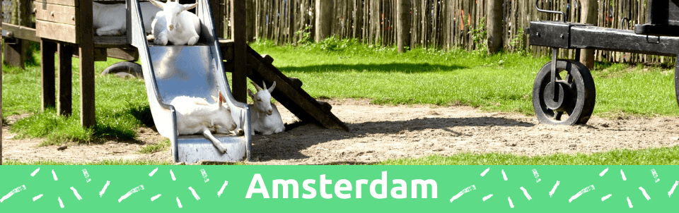 7 fun things to do with kids in Amsterdam