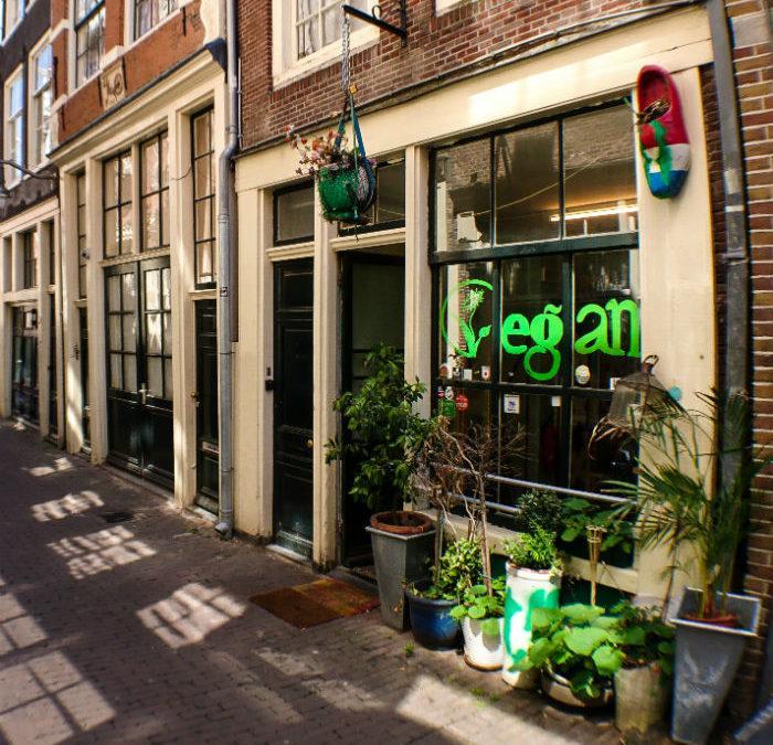 The best places to eat in Amsterdam: our 7 picks