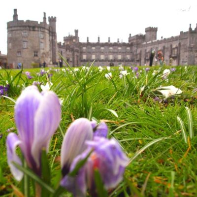 Treasure Hunts in Kilkenny